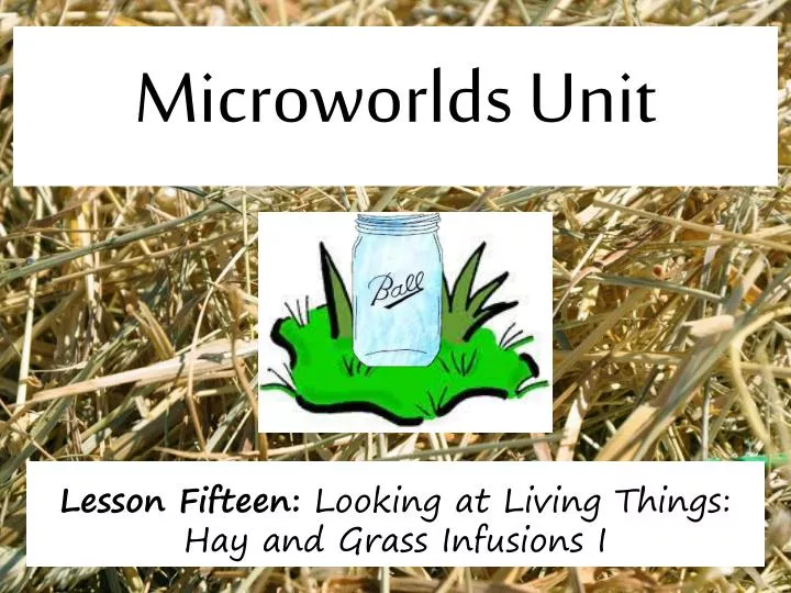 microworlds unit