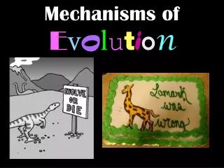 Mechanisms of E v o l u t i o n