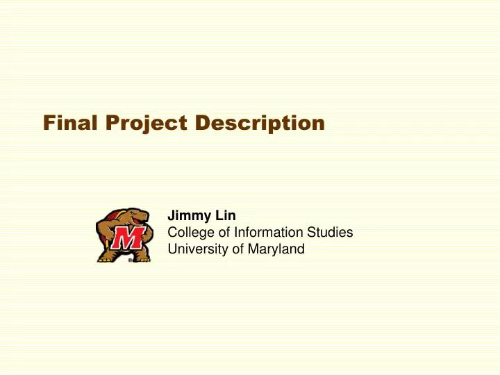 final project description