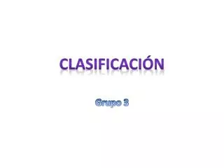 grupo 3