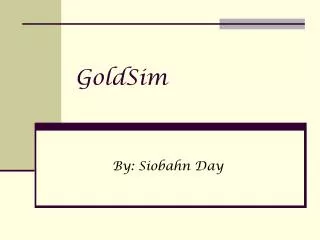 GoldSim