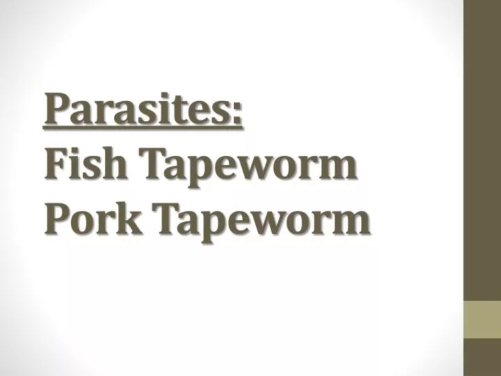 parasites fish tapeworm pork tapeworm