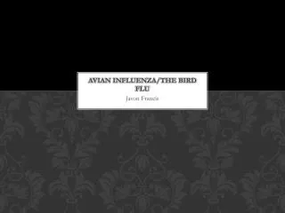 Avian Influenza/The Bird Flu