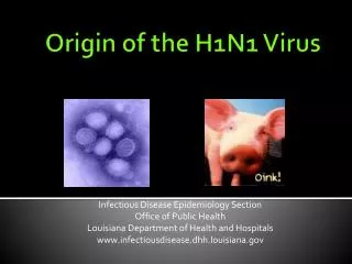 Origin of the H1N1 Virus