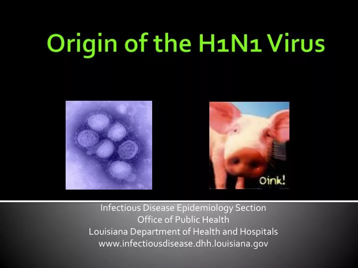 origin of the h1n1 virus