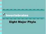Invertebrates - slide 1