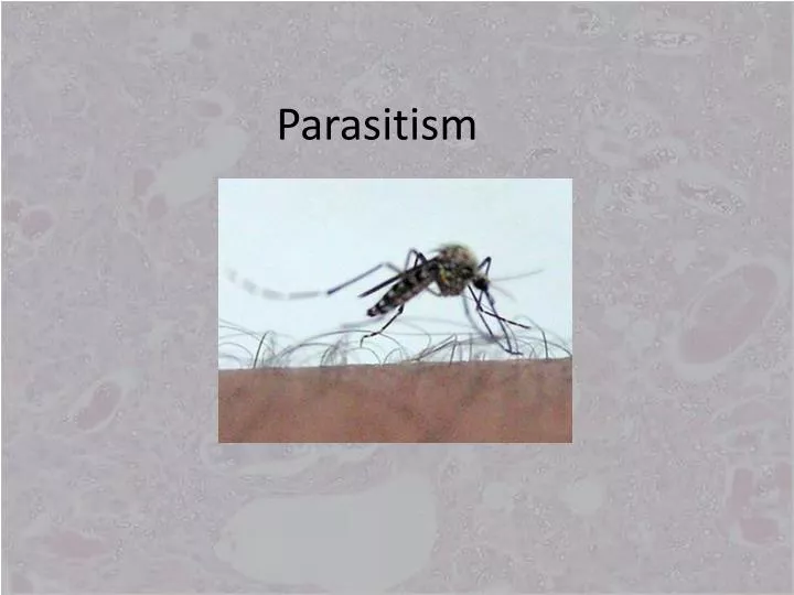 parasitism