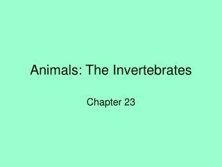Animals: The Invertebrates