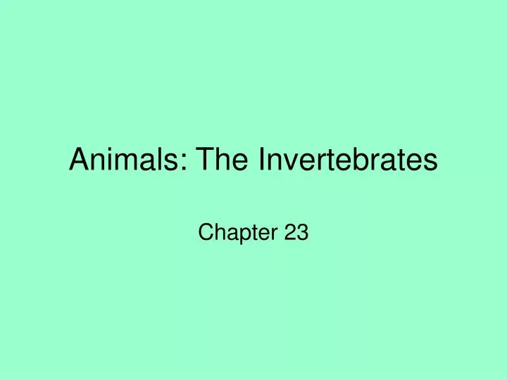 animals the invertebrates