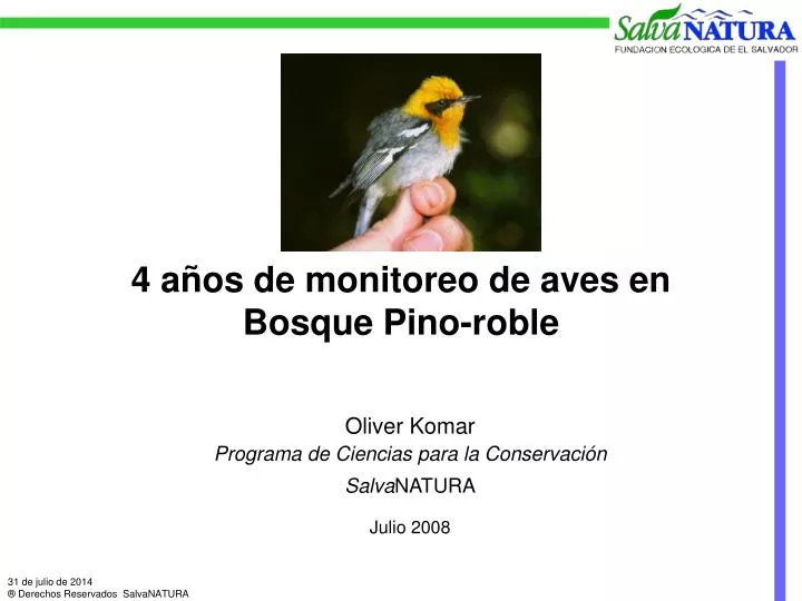 4 a os de monitoreo de aves en bosque pino roble