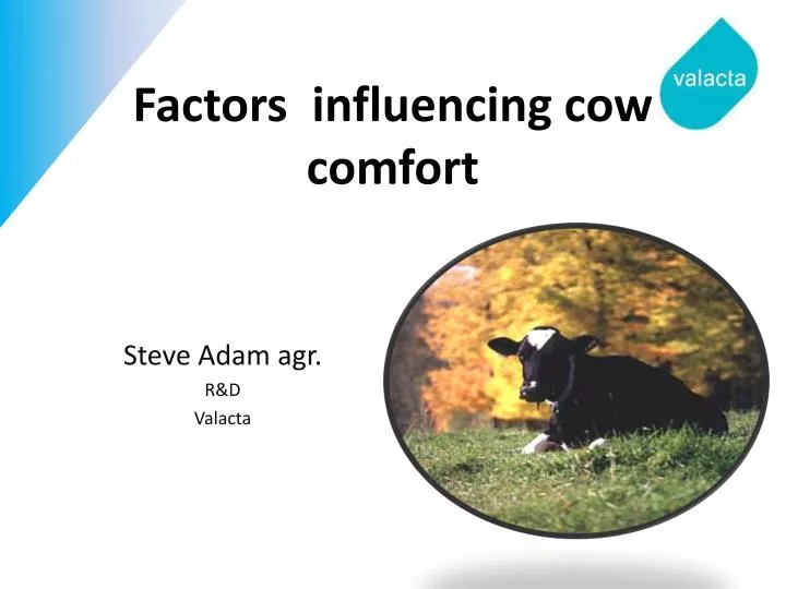 f actors influencing cow comfort