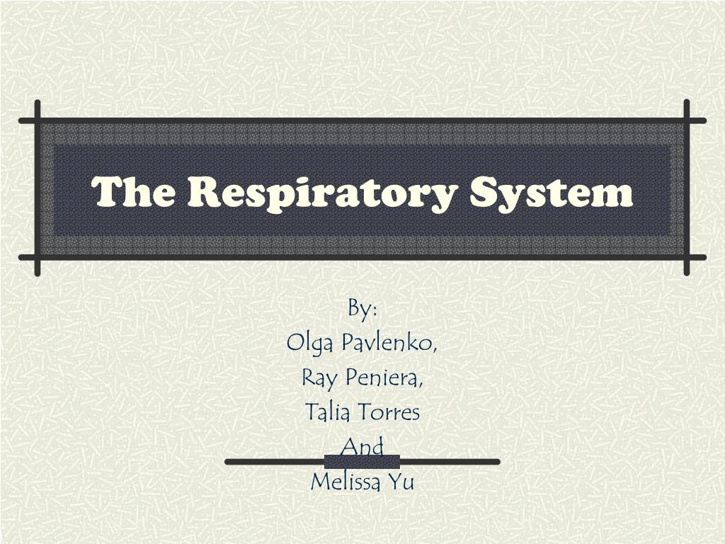 PPT - The Respiratory System PowerPoint Presentation, free download ...