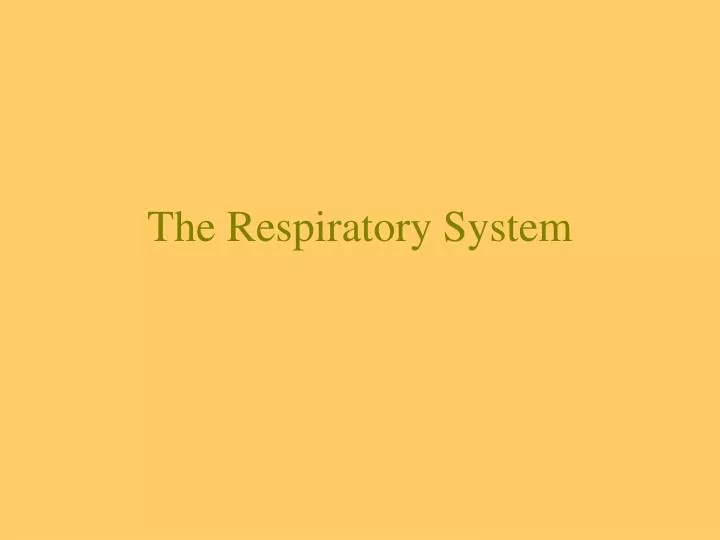 the respiratory system