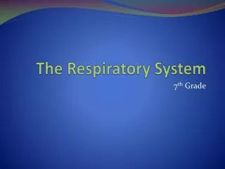 The Respiratory System