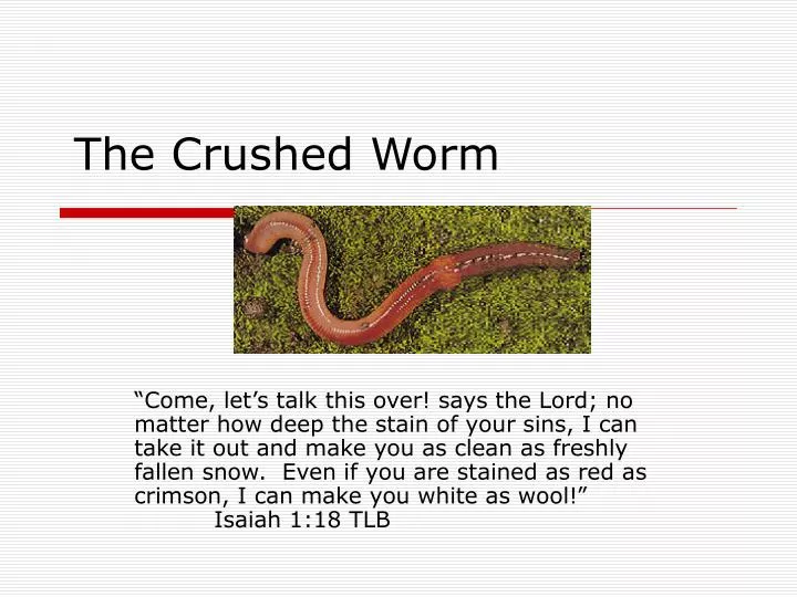 the crushed worm