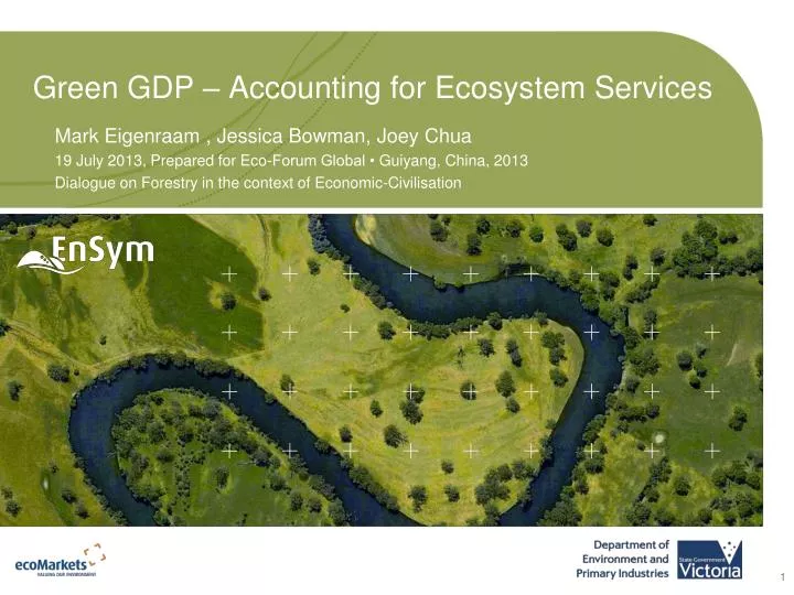 green gdp accounting for ecosystem services