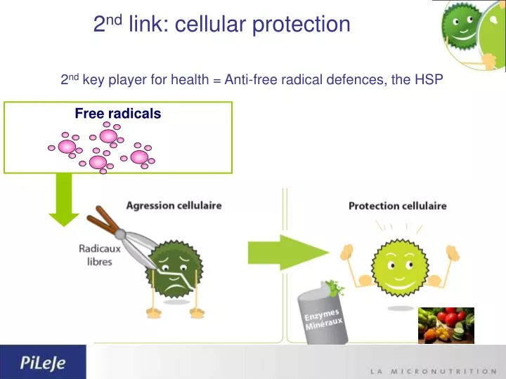 2 nd link cellular protection