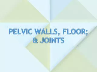 PELVIC WALLS, FLOOR; &amp; JOINTS