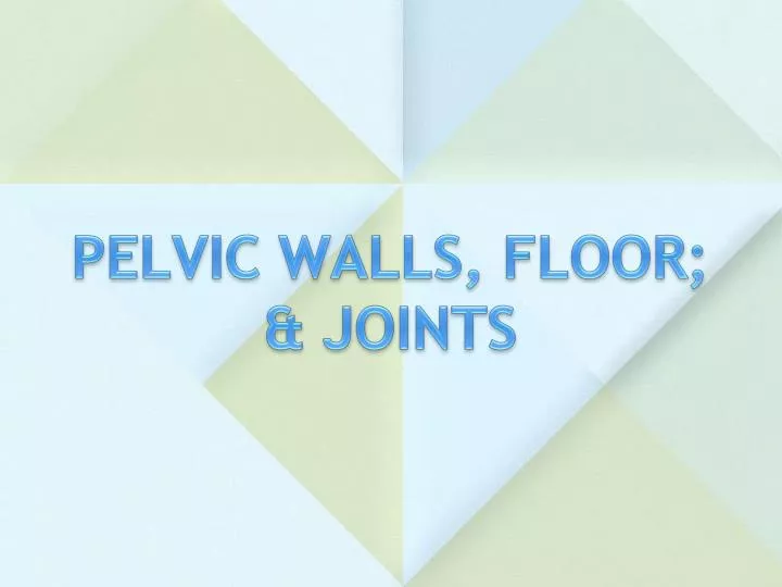pelvic walls floor joints
