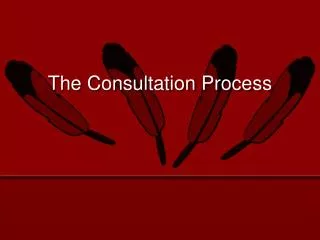 The Consultation Process