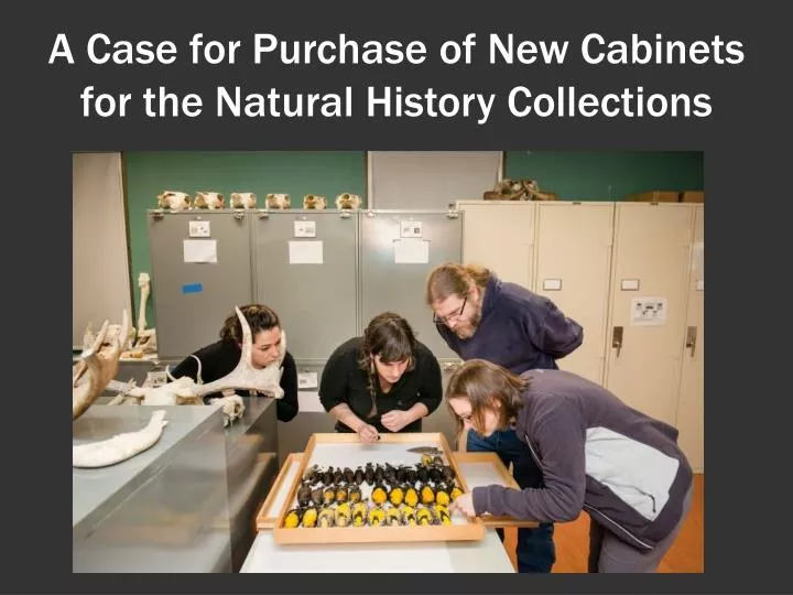 a case for purchase of new cabinets for the natural history collections
