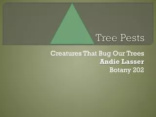 tree pests