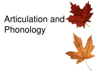 Articulation and Phonology