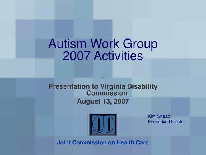 autism work group 2007 activities