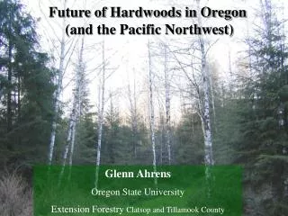 Future of Hardwoods in Oregon (and the Pacific Northwest)