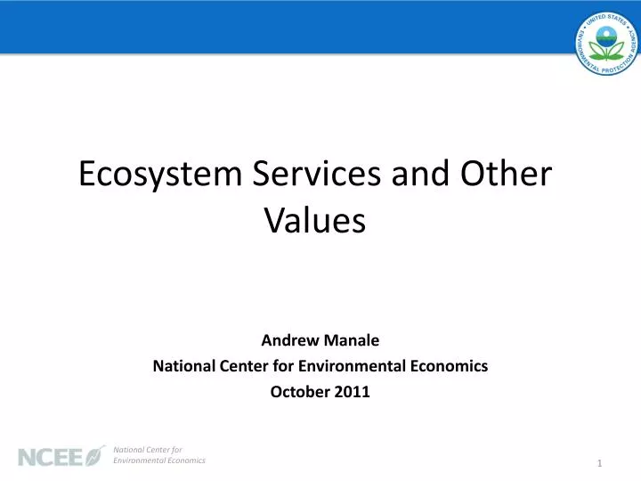 ecosystem services and other values