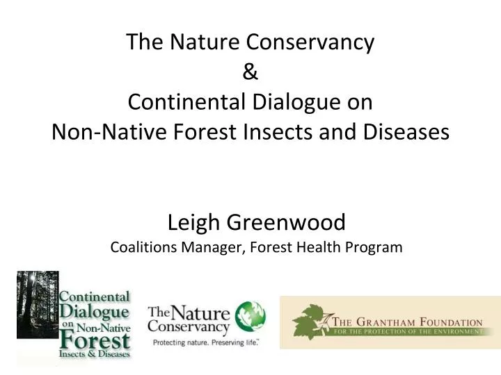 the nature conservancy continental dialogue on non native forest insects and diseases