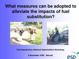 What measures can be adopted to alleviate the impacts of fuel substitution?