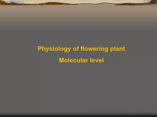 Physiology of flowering plant Molecular level