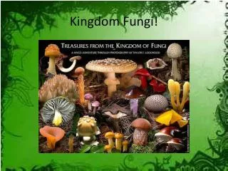 Kingdom Fungi!