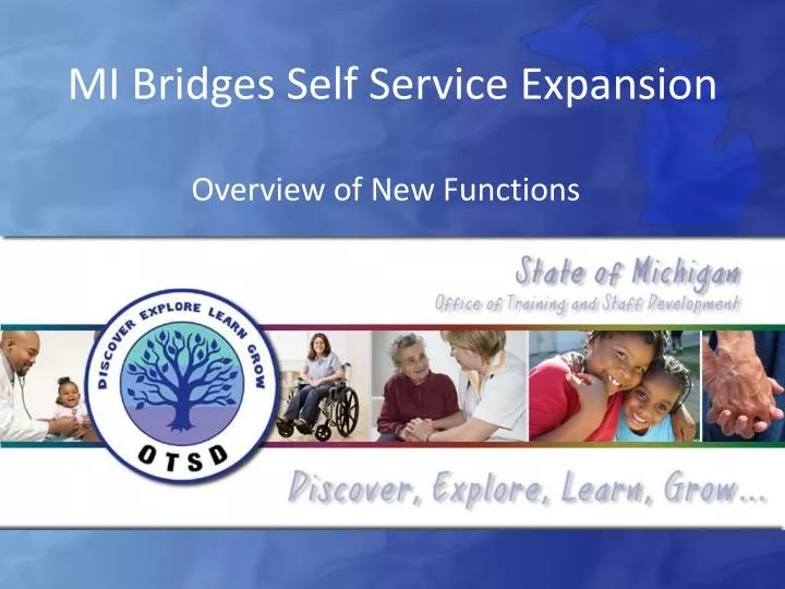mi bridges self service expansion