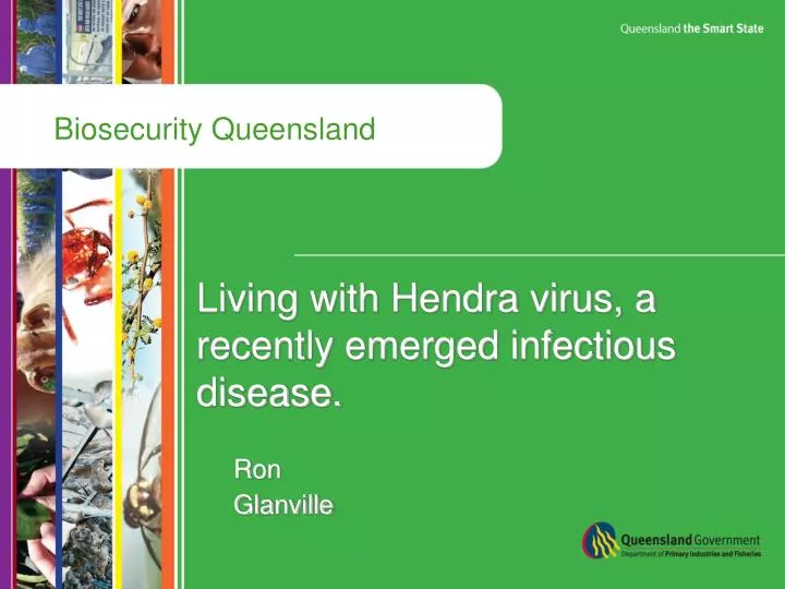 living with hendra virus a recently emerged infectious disease