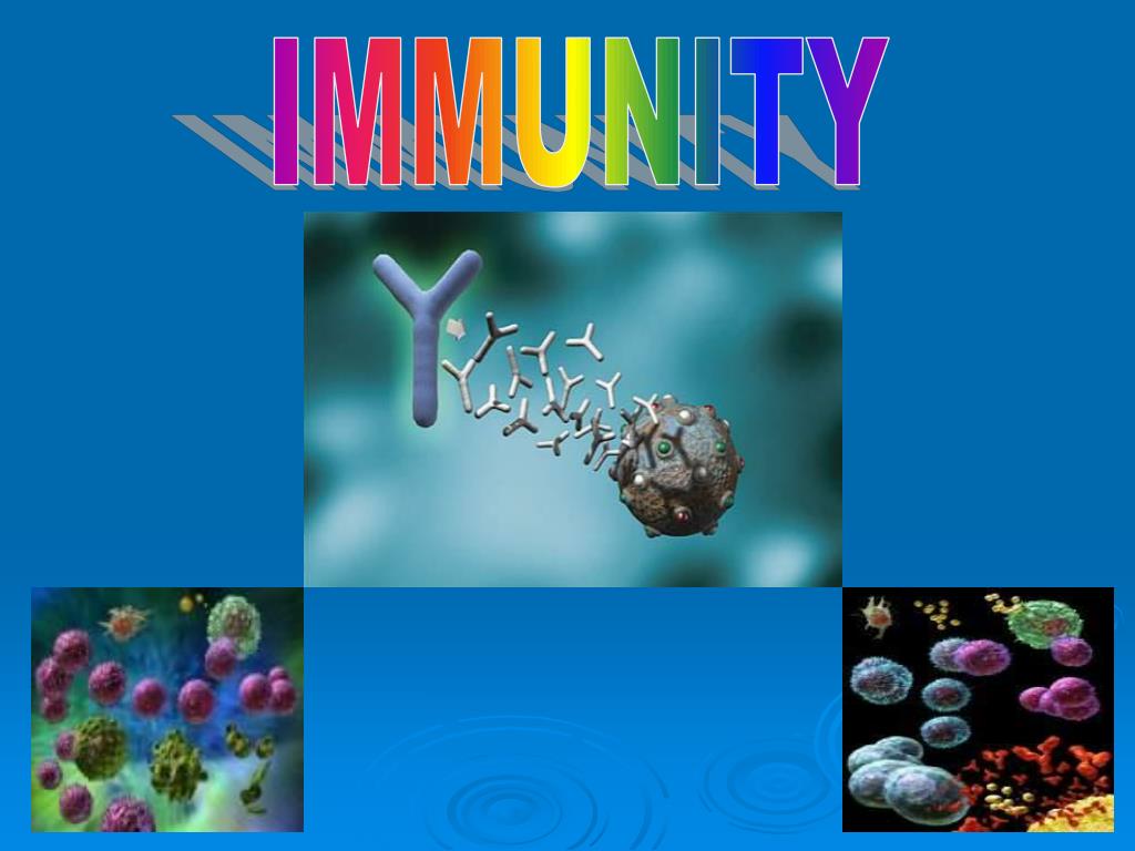 PPT - IMMUNITY PowerPoint Presentation, free download - ID:2745452