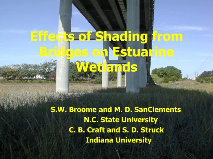 effects of shading from bridges on estuarine wetlands