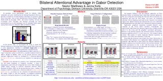 Bilateral Attentional Advantage in Gabor Detection