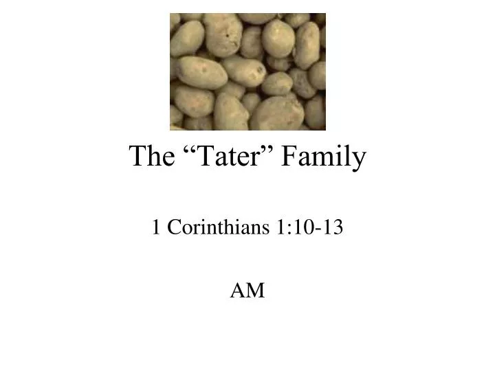 the tater family