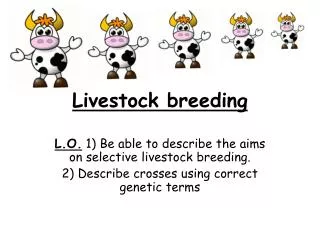 Livestock breeding