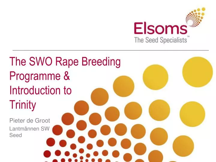 the swo rape breeding programme introduction to trinity