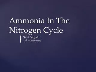 ammonia in the nitrogen cycle