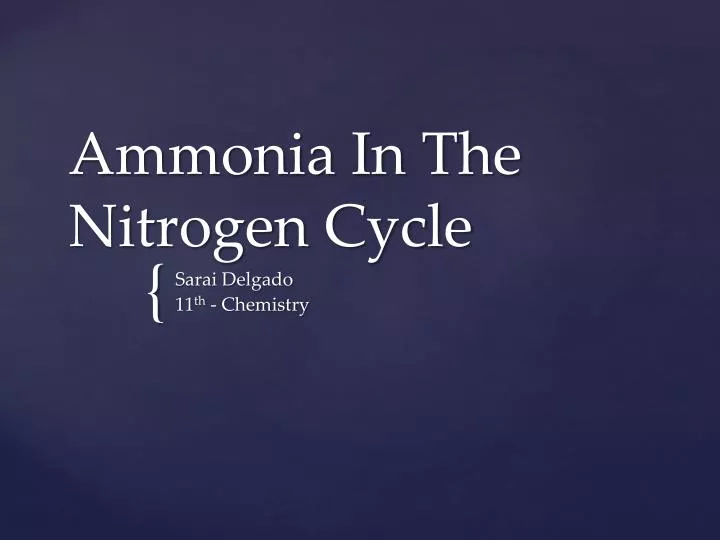ammonia in the nitrogen cycle
