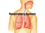 Respiratory System - slide 1