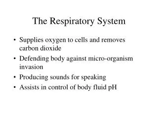 the respiratory system