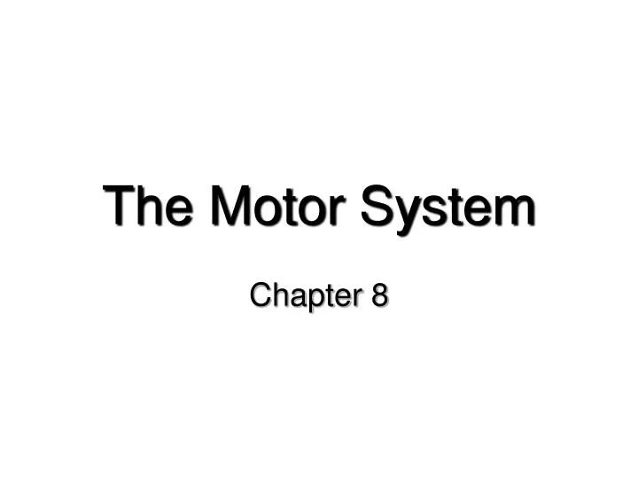 the motor system