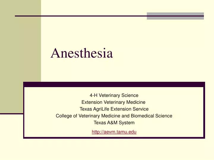 anesthesia