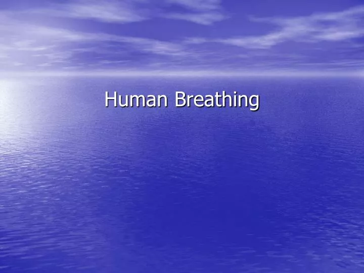 human breathing