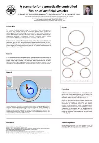 A scenario for a genetically controlled fission of artificial vesicles